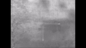 Гон лосей 2017