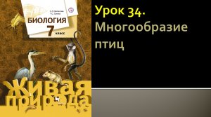 Урок 34. Многообразие птиц