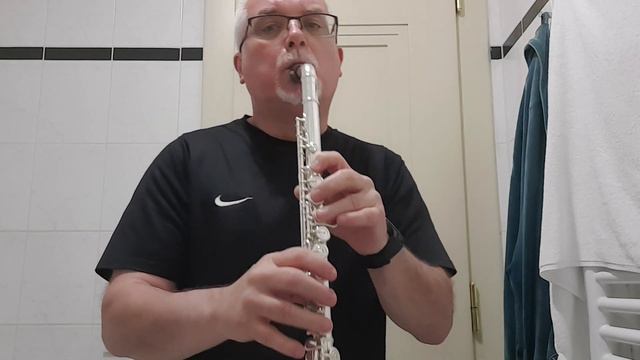 Down by the Sally Gardens Flute with Fliphead смотреть онлайн