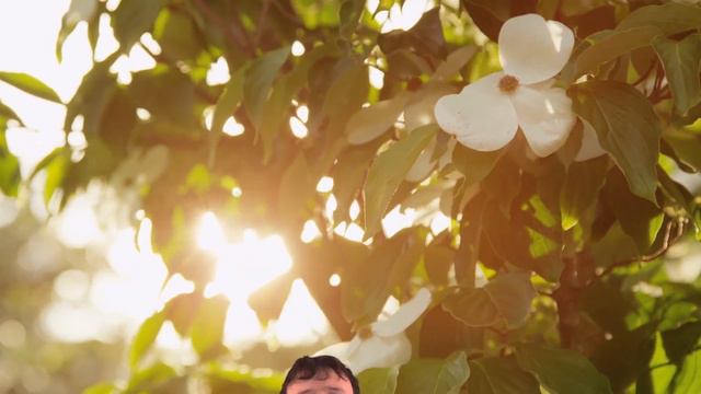 Why Is The Sky Blue? 101 Facts Explains... смотреть онлайн