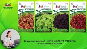 НОВИНКИ ЦВЕТОВ ОТ АГРОФИРМЫ ПАРТНЕР