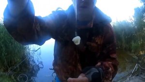 Пора надеть Это! Супер рыболовная насадка на Крупного карася и леща Насадка для рыбалки летом.