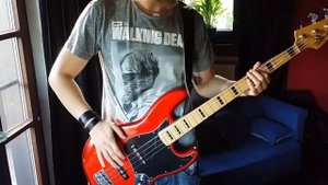 Guano Apes - Lords of the Boards (bass cover)(4 strings)(easy way of playing)(tabs in description)