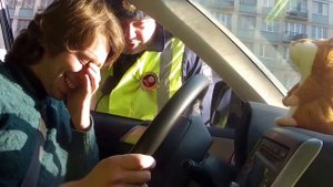 Хомяк повторюшка. Игрушка говорящий хомяк и ДПС.