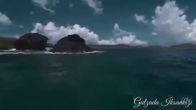 Тамара Асар