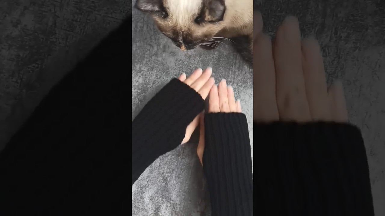 первыйраз вязала митенки #вязаниекрючком #мквязание #вязание #митенкикрючком #diy #мккрючком #хобби смотреть онлайн