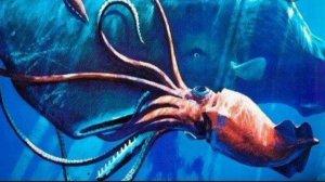 факты о гигантском кальмаре