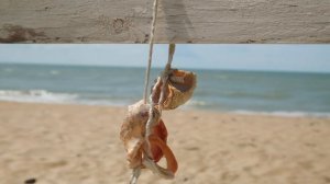 "Сады у моря", ТЕМРЮК, июнь 2023