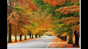 Мои года   мое богатство!