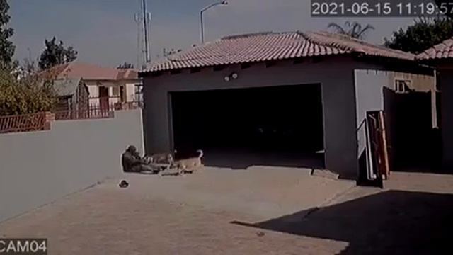Вор пытается проникнуть в чужой дом