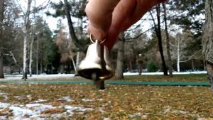 Валдайский колокольчик №2