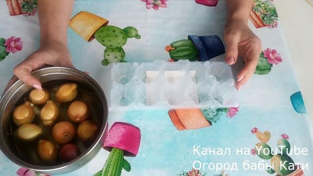 Зеленый лук зимой на окне без земли! Огород на подоконнике зимой!Зелень на подоконнике!