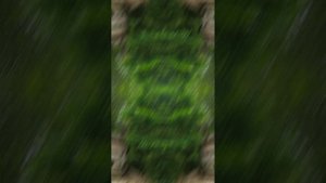 Кабардинка июнь 2023