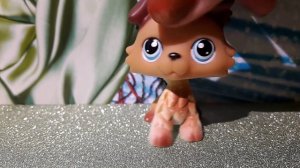 Lps распаковка редкий пет(8)