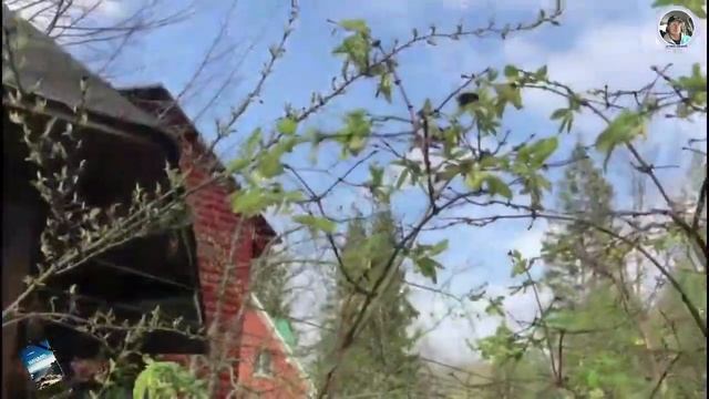 Живой Мир смотреть онлайн