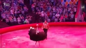 Страус набросился на зрителей в цирке