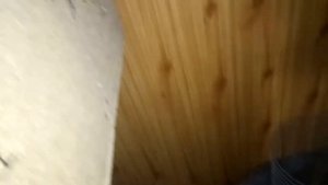 ПОПУГАИ ПОМЕНЯЛИСЬ ГНЕЗДАМИ И НАЧАЛИ НЕСТИ ЯЙЦА - РАЗВЕДЕНИЕ ВОЛНИСТЫХ ПОПУГАЕВ