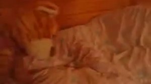 ЗАШЛИ К ДЕВОЧКАМ НОЧЬЮ В ЛАГЕРЕ