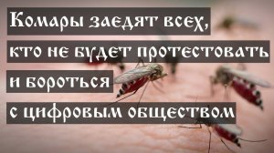 Комары заедят всех, кто не будет протестовать и бороться с цифровым обществом