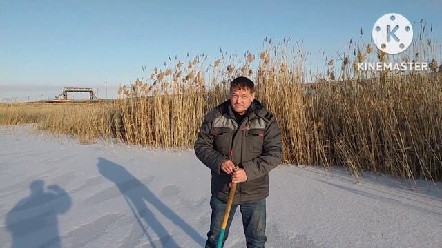 Рыбалка в Казахстане. Ловля живца на мордушки. смотреть онлайн