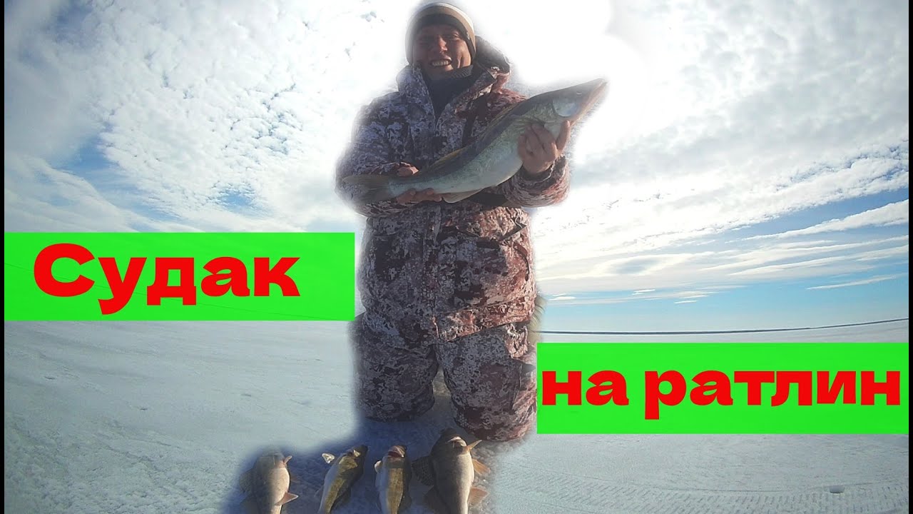 Судак на ратлин. Камское Устье .Последний лед 2023г.