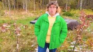 Растения не для торопыг. Белоплодные рябины.