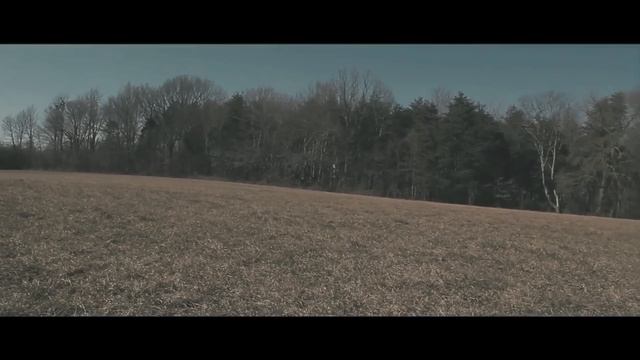 В ПОИСКАХ СПРАВЕДЛИВОСТИ! Бун: Тропа мести смотреть онлайн