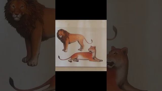 Названия животных смотреть онлайн