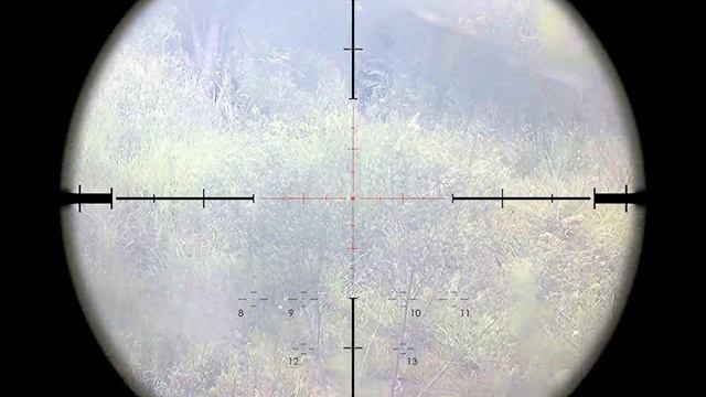 M110 SASS смотреть онлайн