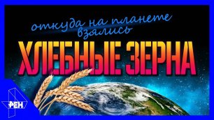 День космических историй. Выпуск 3 (04.11.2018).
