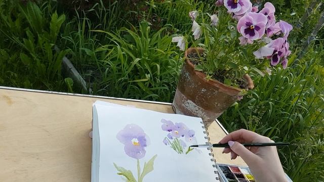 ПЛЕНЭР в ИЮНЬском саду ? скетчи цветов на природе | летнее настроение смотреть онлайн