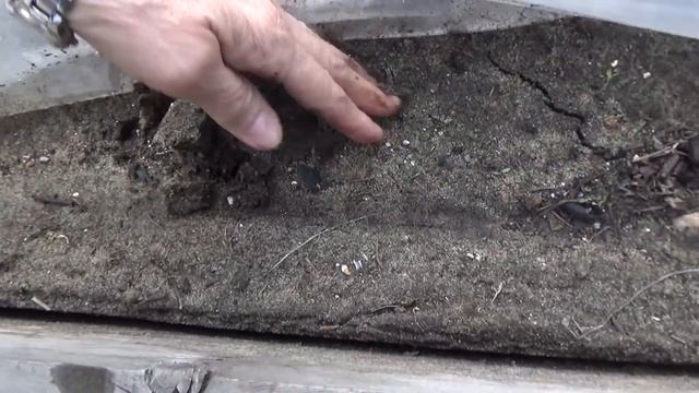 28 марта 2019 смотреть онлайн