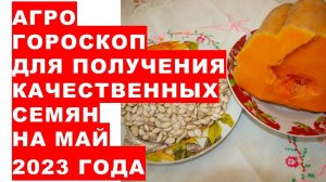 Агрогороскоп для получения качественных семян на май 2023 года