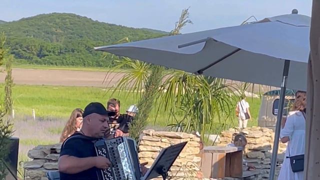 Лавандовые поля в Семигорье! смотреть онлайн