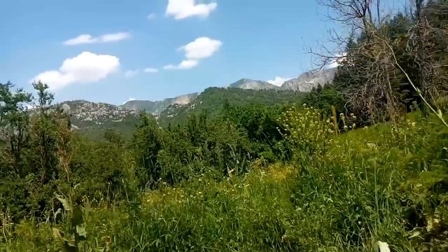 Только пришло новость! (6 июля на этот час) смотреть онлайн