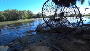 рыбалка на кубани рыбалка на реке кубань рыбалка краснодарский край река кубань рыбалка сомик