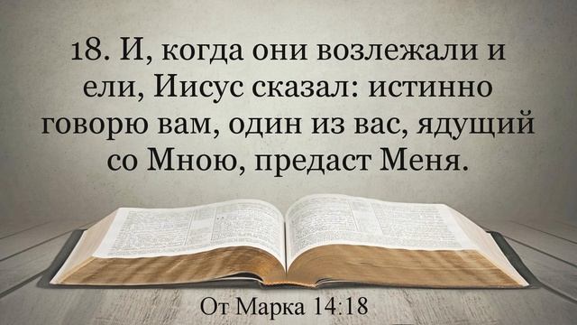 Лучшая Видео Библия. Чтение Евангелие от Марка. Главы 13-14. Синодальный перевод