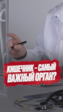 Кишечник - самый важный орган?