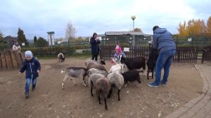 Зоопарк в городе Ярославль.