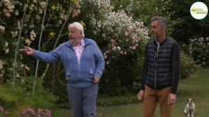 PLÉIADE DE ROSES DANS UN ÉLÉGANT JARDIN DE CAMPAGNE