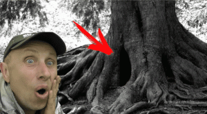 ОГО, ТАКОЕ ПОДНЯТЬ на ДОРОГЕ, АБАЛДЕЛ от НАХОДКИ в ЛЕСУ! В Поисках Клада от Влада!