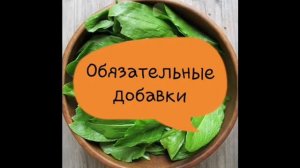 Обустройство клетки для попугая