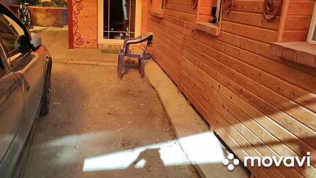 В ГОСТЯХ ЕКАТЕРИНЫ ЗОЛОТОРЕВАЙ Канал куры Леггорн#курочки