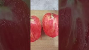 томат ВЕЛЬМОЖА от АЭЛИТЫ