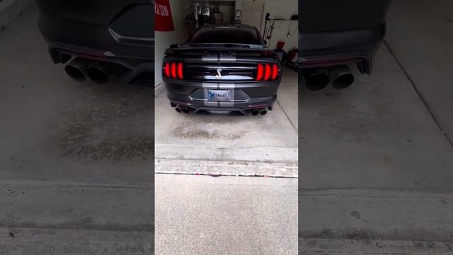 Shelby GT500 Cold Start ?️ Best Sounding V8? ?