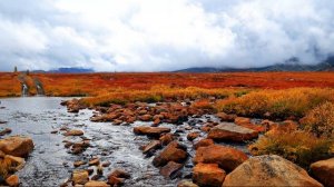 К озеру Джека Лондона 2 сентября