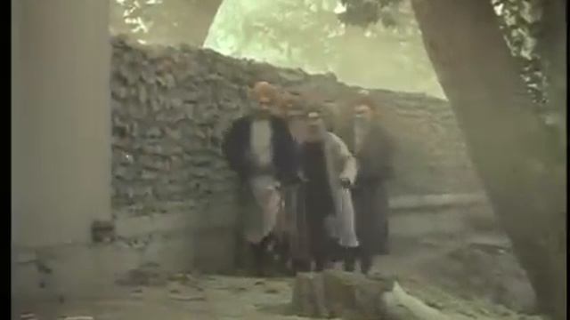 Onlayn etuk mushuklar video