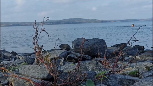 купание 1 октября 2023 г. Озеро Синара смотреть онлайн