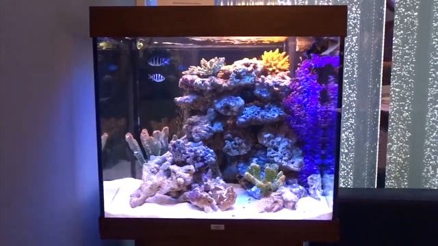 #Аквариум с тумбой Juwel Lido 200 смотреть онлайн