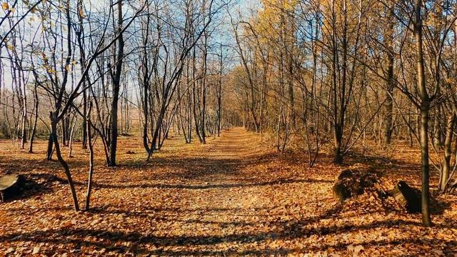 ? Успокаивающая музыка для нервов ? лечебная музыка для сердца и сосудов, релакс, музыка для души смотреть онлайн